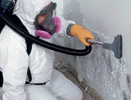 Forensic Mold Investigation in Venice, FL